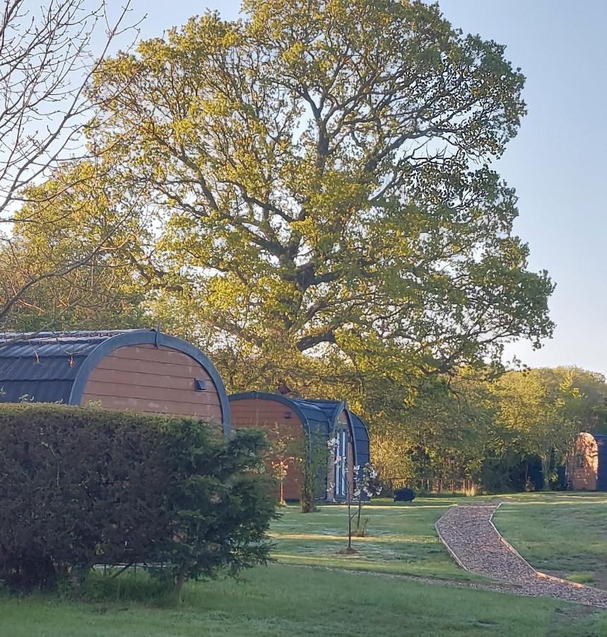 Oak Lodge Pods Lowestoft Ngoại thất bức ảnh